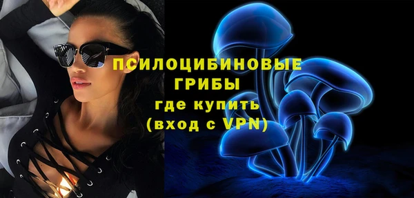apvp Богородицк
