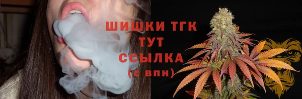 скорость Богородск