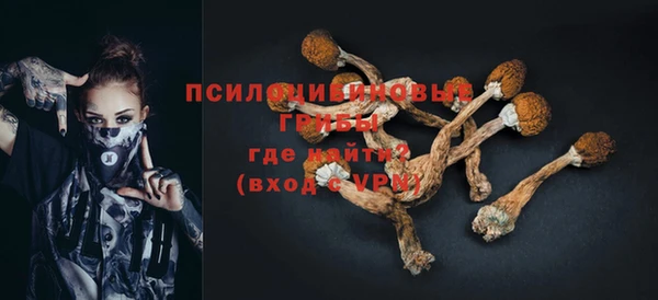 apvp Богородицк
