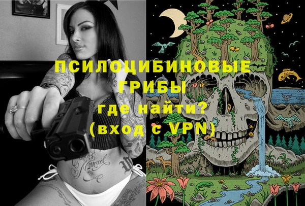 твердый Богданович