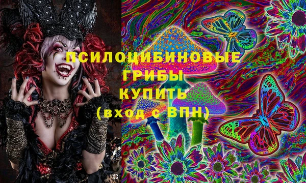 apvp Богородицк