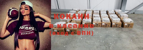твердый Богданович