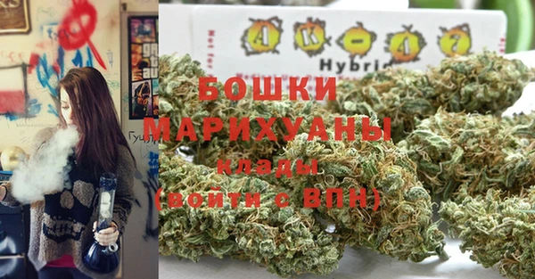 твердый Богданович