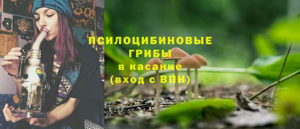 apvp Богородицк