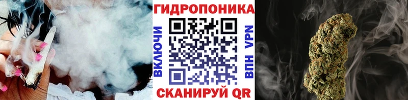 где можно купить   Шахты  Канабис тримм 